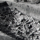 Illustration for article titled Fotók a mohácsi csatatér régészeti feltárásáról